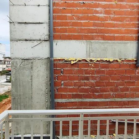 Vaspyflogitarooms * פלוגיטה